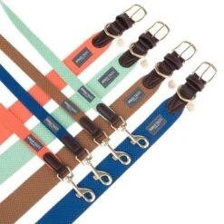 Collar Nomad Tales Bloom Menta Para Perros -Mascota Suministros Ventas nomad tales bloom halsbaender fg 1502 2