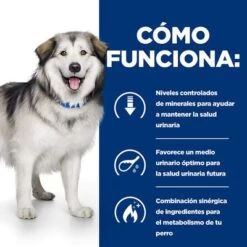 Hill's C/d Urinary Care + Metabolic Prescription Diet Pienso Para Perros 14 Hill's C/d Urinary Care + Metabolic Prescription Diet Pienso Para Perros -Mascota Suministros Ventas pd cd metabolic dog bk27895m how works es 9