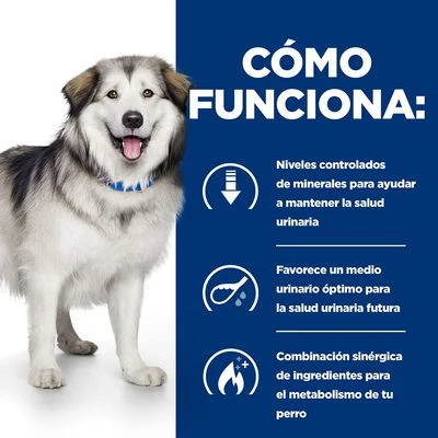 Hill's C/d Urinary Care + Metabolic Prescription Diet Pienso Para Perros 5 Hill's C/d Urinary Care + Metabolic Prescription Diet Pienso Para Perros - Imagen 5