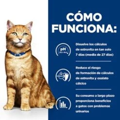 Hill's C/d Prescription Diet Latas Comida Húmeda Para Gatos -Mascota Suministros Ventas pd cd multicare cat bk20177 bk25948m bk26382m bk27563m bk28017 how works es 8