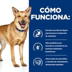 Hill's I/d Prescription Diet Digestive Care Estofado Para Perros 23 Hill's I/d Prescription Diet Digestive Care Estofado Para Perros -Mascota Suministros Ventas pd id dog bk33557 how works es 1