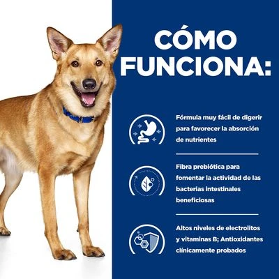 Hill's I/d Prescription Diet Digestive Care Estofado Para Perros 7 Hill's I/d Prescription Diet Digestive Care Estofado Para Perros - Imagen 7
