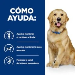 Hill's J/d Prescription Diet Joint Care Pienso Para Perros -Mascota Suministros Ventas pd jd dog bk25363m bk30425 how helps es 5