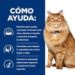 Hill's K/d + Mobility Prescription Diet Bolsitas Para Gatos -Mascota Suministros Ventas pd kd mobility cat bk24069m bk27533m how helps es 4