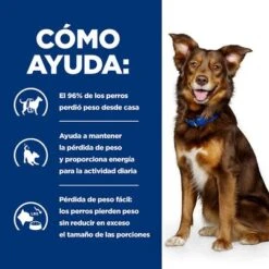 Hill's Metabolic Con Cordero Prescription Diet Pienso Para Perros -Mascota Suministros Ventas pd merabolic dog bk32929 bk27893m bk32064m bk21343 bk21344 how helps es 4
