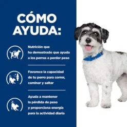 Hill's Metabolic + Mobility Mini Prescription Diet Pienso Para Perros -Mascota Suministros Ventas pd metabolic mobility mini dog bk31838m how helps es 9