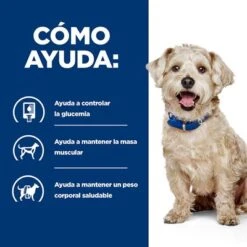 Hill's W/d Prescription Diet Diabetes Care Pienso Para Perros -Mascota Suministros Ventas pd wd dog bk32587m bk27668 how helps es 2