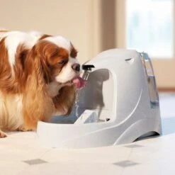 Fuente De Agua Para Mascotas Drinkwell Platinum De PetSafe -Mascota Suministros Ventas pla radiosystems drinkwellplatinumtrinkbrunnen 5liter dog 1