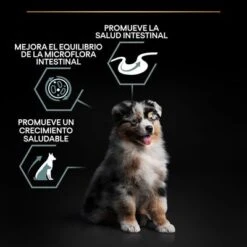 Purina Pro Plan Medium Puppy Sensitive Digestion Cordero Y Arroz 15 Purina Pro Plan Medium Puppy Sensitive Digestion Cordero Y Arroz -Mascota Suministros Ventas pu benefit tile m2 sensitive digestion 5 2500x2500px 221229 1 9