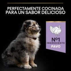 PURINA PRO PLAN All Sizes Puppy Sensitive Digestion Sin Cereales Con Pavo -Mascota Suministros Ventas pu proplan dog sdgrainfree allsize flavour 0