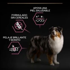 PURINA PRO PLAN Medium & Large Adult 7+ Sensitive Skin -Mascota Suministros Ventas pu proplan dog senstvskin benefittile 8