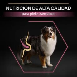 PURINA PRO PLAN Medium & Large Adult 7+ Sensitive Skin -Mascota Suministros Ventas pu proplan dog senstvskin productdesc 3