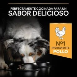 Pro Plan Duo Délice Adult Con Pollo -Mascota Suministros Ventas pu purina dog duodelice chicken flavour 5