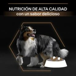 Pro Plan Duo Délice Adult Con Pollo -Mascota Suministros Ventas pu purina dog duodelice chicken productdesc 1
