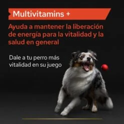 PRO PLAN Dog Adult Multivitamins Supplement Comprimidos -Mascota Suministros Ventas pu supplementals atf multivitamins dog a 220513 es es 9