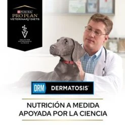 Purina DRM Dermatosis Veterinary Diets Pienso Para Perros -Mascota Suministros Ventas puppvdddppvdr22endoles 220629 1 1656654162025 1