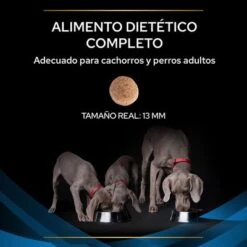 Purina DRM Dermatosis Veterinary Diets Pienso Para Perros -Mascota Suministros Ventas puppvdddppvdr22ksizles 220629 1 1656985195811 5