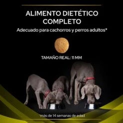 Purina Pro Plan HP Hepatic Veterinary Diets -Mascota Suministros Ventas puppvdddppvhp22ksizles 221017 1 1 8