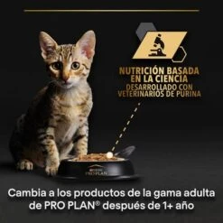 PURINA PRO PLAN Kitten Healthy Start 24 X 85 G En Latas -Mascota Suministros Ventas puprpnwcadvhenocach23trplajcles 3