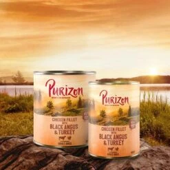 Purizon Adult 24 X 400 G Comida Húmeda Sin Cereales Para Perros -Mascota Suministros Ventas purizon idcard wet blackangus 1000x1000 3