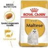 Royal Canin Bichón Maltés Adult