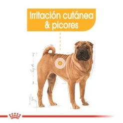 Royal Canin Medium Dermacomfort 9 Royal Canin Medium Dermacomfort -Mascota Suministros Ventas rc ccn dermamed cv eretailkit 2 es es 6