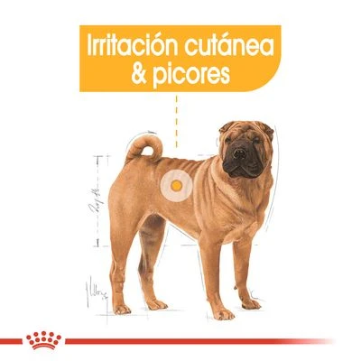 Royal Canin Medium Dermacomfort 3 Royal Canin Medium Dermacomfort - Imagen 3