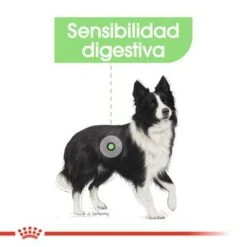 Royal Canin Medium Digestive Care 10 Royal Canin Medium Digestive Care -Mascota Suministros Ventas rc ccn digestivemedium cv eretailkit 2 es es 2