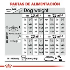 Royal Canin Medium Digestive Care 12 Royal Canin Medium Digestive Care -Mascota Suministros Ventas rc ccn digestivemedium cv eretailkit 7 es es 3
