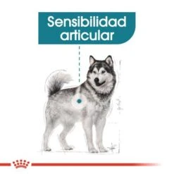 Royal Canin Maxi Joint Care -Mascota Suministros Ventas rc ccn jointcaremaxi cv eretailkit 2 es es 7