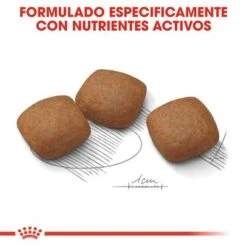 Royal Canin Maxi Joint Care -Mascota Suministros Ventas rc ccn jointcaremaxi cv eretailkit 5 es es 9
