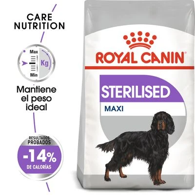 Royal Canin Maxi Adult Sterilised 1 Royal Canin Maxi Adult Sterilised