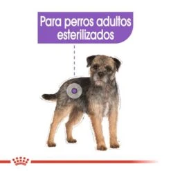 Royal Canin Mini Adult Sterilised -Mascota Suministros Ventas rc ccn sterilisedmini cv eretailkit 2 es es 5