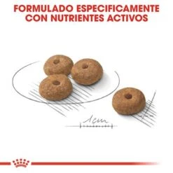 Royal Canin Mini Adult Sterilised -Mascota Suministros Ventas rc ccn sterilisedmini cv eretailkit 5 es es 0