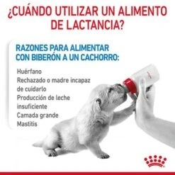 Royal Canin Babydog Milk 20 Royal Canin Babydog Milk -Mascota Suministros Ventas rc chn babydogmilk 2kg cv 2 es es pdf 6