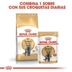 Royal Canin Breed British Shorthair -Mascota Suministros Ventas rc fbn wet britishsh mv eretailkit 4 es es 8