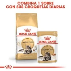 Royal Canin Breed Maine Coon -Mascota Suministros Ventas rc fbn wet mainecoon cv eretailkit 4 es es 1