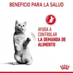 Royal Canin Appetite Control En Salsa -Mascota Suministros Ventas rc fcn appetitecontrolgravy 6 es es 5