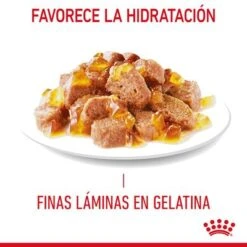 Royal Canin Appetite Control Care En Gelatina -Mascota Suministros Ventas rc fcn appetitecontrolpouchjelly 7 es es 1