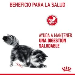 Royal Canin Digest Care En Salsa 12 Royal Canin Digest Care En Salsa -Mascota Suministros Ventas rc fcn digestivecarepouchgravy 6 es es 2