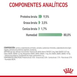 Royal Canin Digest Care En Salsa 15 Royal Canin Digest Care En Salsa -Mascota Suministros Ventas rc fcn digestivecarepouchgravy 9 es es 1