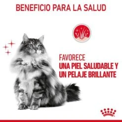 Royal Canin Hair & Skin Care En Salsa -Mascota Suministros Ventas rc fcn hairskinpouchgravy 6 es es 4