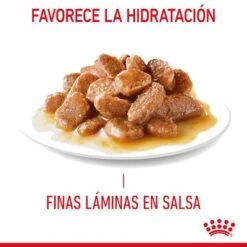 Royal Canin Hair & Skin Care En Salsa -Mascota Suministros Ventas rc fcn hairskinpouchgravy 7 es es 7
