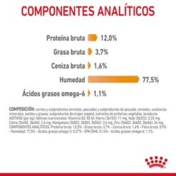 Royal Canin Hair & Skin Care En Salsa -Mascota Suministros Ventas rc fcn hairskinpouchgravy 9 es es 1