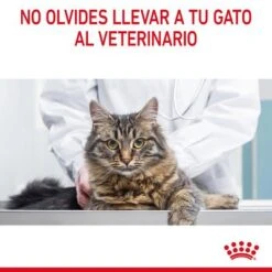 Royal Canin Light Weight Care En Gelatina -Mascota Suministros Ventas rc fcn lightweightpouchjelly 13 es es 7