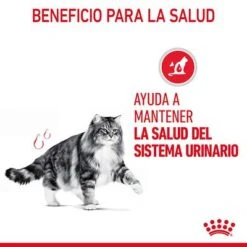 Royal Canin Urinary Care En Salsa 12 Royal Canin Urinary Care En Salsa -Mascota Suministros Ventas rc fcn urinarypouchgravy 6 es es 3
