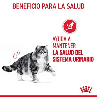 Royal Canin Urinary Care En Salsa 3 Royal Canin Urinary Care En Salsa - Imagen 3
