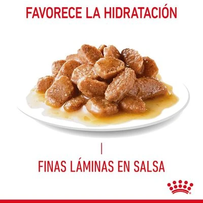 Royal Canin Urinary Care En Salsa 4 Royal Canin Urinary Care En Salsa - Imagen 4