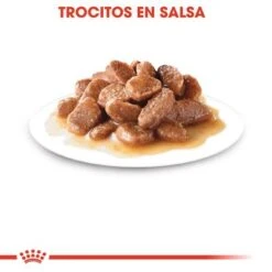 Royal Canin Sterilised En Salsa -Mascota Suministros Ventas rc fhn 2 5