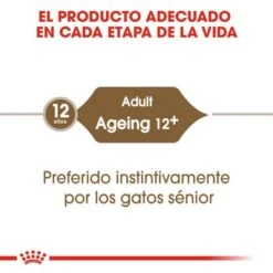 Royal Canin Ageing +12 En Salsa 6 Royal Canin Ageing +12 En Salsa -Mascota Suministros Ventas rc fhn wet ageing12gravy cv eretailkit 1 es es 8